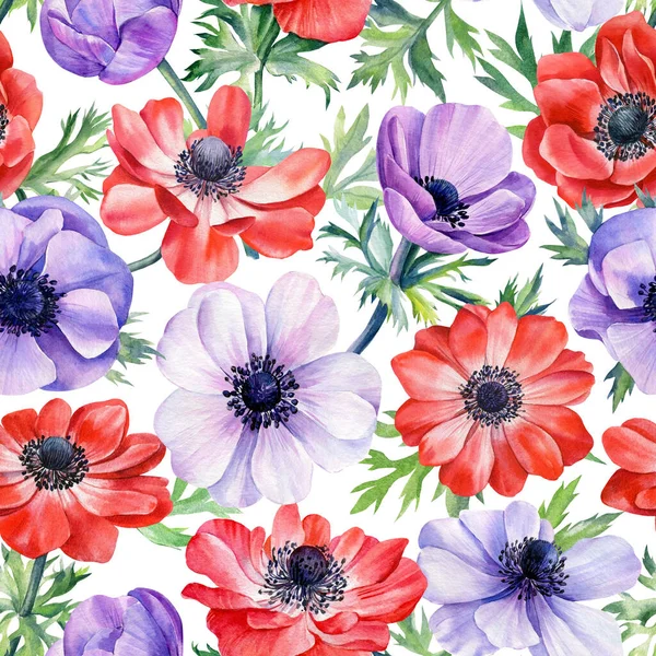 Sfondo floreale, fiori anemoni, acquerello illustrazione, modello senza soluzione di continuità — Foto Stock