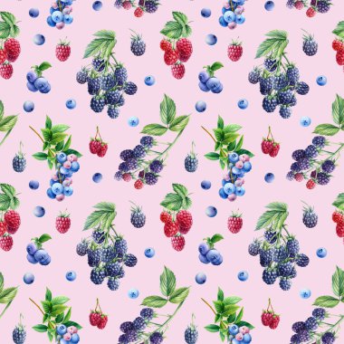 Kusursuz desen, böğürtlen arkaplanı, ahududu ve yaban mersini, suluboya botanik illüstrasyon