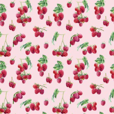 Kusursuz desen, böğürtlen arkaplan, ahududu dalları, suluboya botanik çizimler.