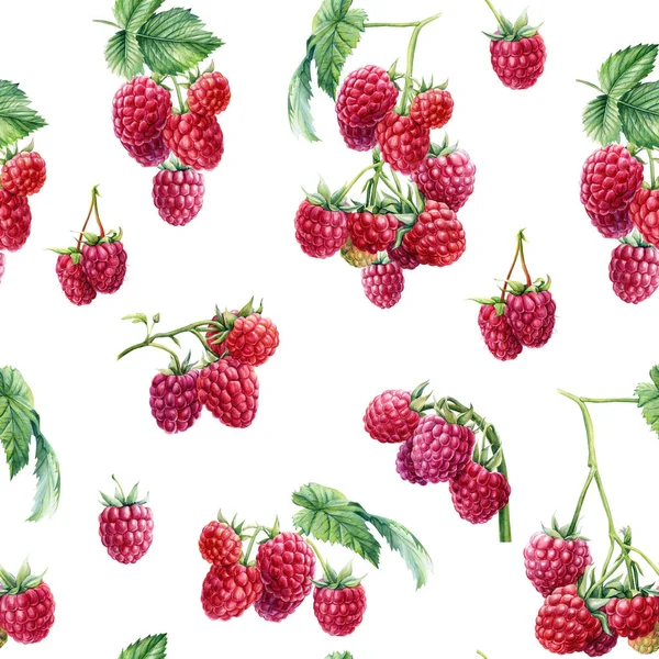 Seamless pattern, berry background, branches of raspberries, watercolor botanical illustration — Stock Photo, Image