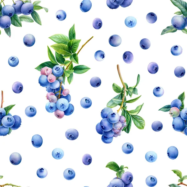 无缝图案,浆果背景,蓝莓枝,水彩画,植物图解 — 图库照片