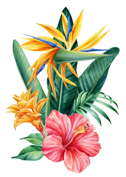 Tropikalne kwiaty na odizolowanym białym tle, ilustracja akwarela. Strelitzia, hibiskus, liście palmowe — Zdjęcie stockowe