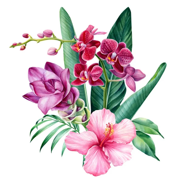 열 대 꽃들이 홀로 하얀 배경에 붙어 있고, 워터 컬러 삽화가 그려져 있다. 히비스커스, 난초, 투 메릭, 야자나무 잎 — 스톡 사진
