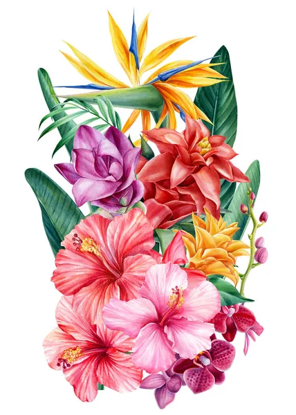 Buket tropikal çiçekler, suluboya çizimler. Strelitzia, hibiscus, orkide, zerdeçal, palmiye yaprakları — Stok fotoğraf