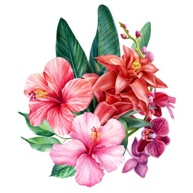 Tropik bitki örtüsü, izole edilmiş beyaz arka plan, suluboya çizimi. Hibiscus, orkide, guzmania ve palmiye yaprakları