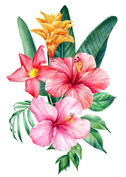 Tropické květiny na izolovaném bílém pozadí, akvarel ilustrace. Strelitzie, ibišek, listy palmy — Stock fotografie