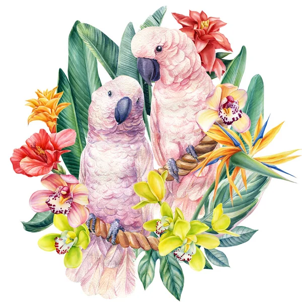 Papugi i tropikalne kwiaty na odizolowanym białym tle, Ilustracja akwarela, plakat — Zdjęcie stockowe