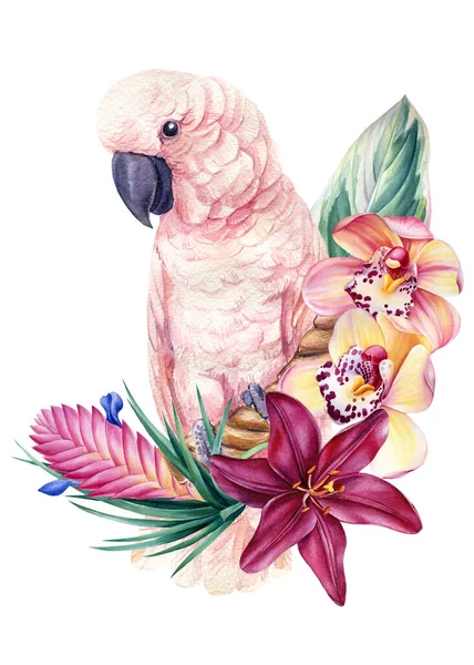 Composizione con pappagallo e fiori tropicali su sfondo bianco isolato, illustrazione ad acquerello, poster — Foto Stock