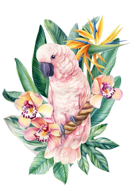 Perroquet et fleurs tropicales sur fond blanc isolé, illustration aquarelle, affiche — Photo