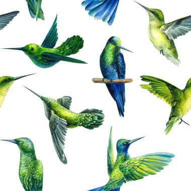 Sinekkuşları, tropikal arka plan, suluboya resimleme, egzotik kuşlar ve bitkiler, dijital kağıt, kusursuz desen