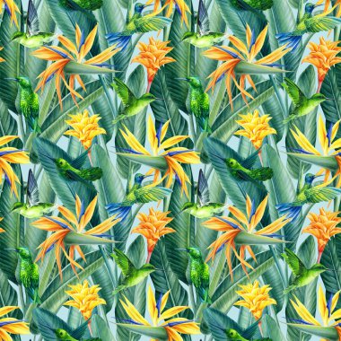 Sinekkuşları ve Strelitzia, tropikal arkaplan, suluboya illüstrasyon, dijital kağıt, kusursuz desen