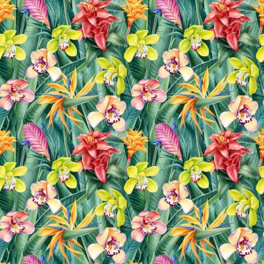 Tropikal çiçekleri ve yaprakları olan vahşi bir arka plan suluboya çizimi, pürüzsüz bir desen. Cennet dijital kağıdı,