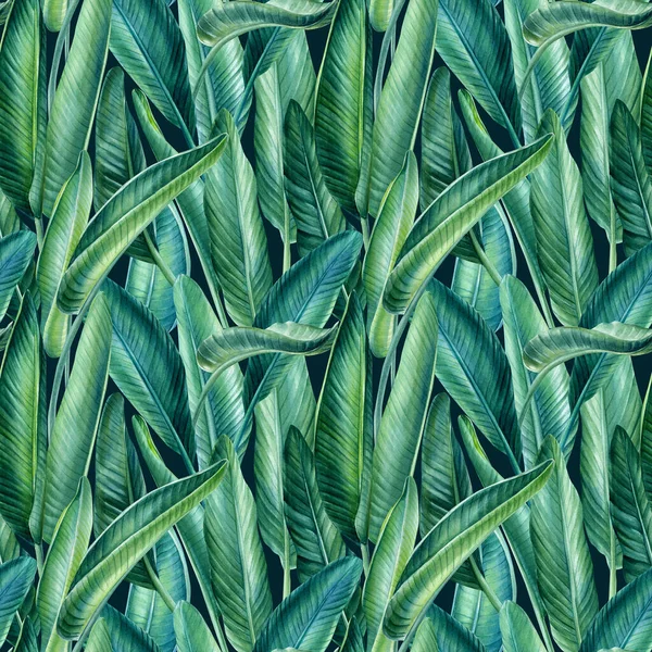 Folhas de Strelitzia, fundo tropical, ilustração aquarela, papel digital, padrão sem emenda — Fotografia de Stock