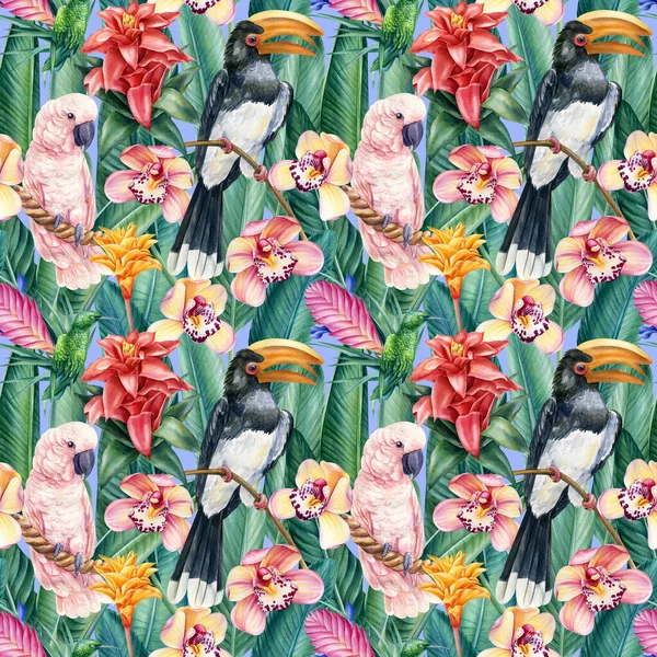 Fondo tropical, tucán de las aves, cacatúa y flores, ilustración de acuarela, patrón sin costuras, papel digital — Foto de Stock