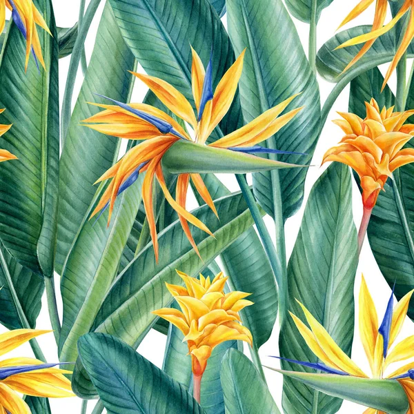 Strelitzia liście i kwiaty tropikalne tło, akwarela ilustracja, cyfrowy papier, bezszwowy wzór — Zdjęcie stockowe