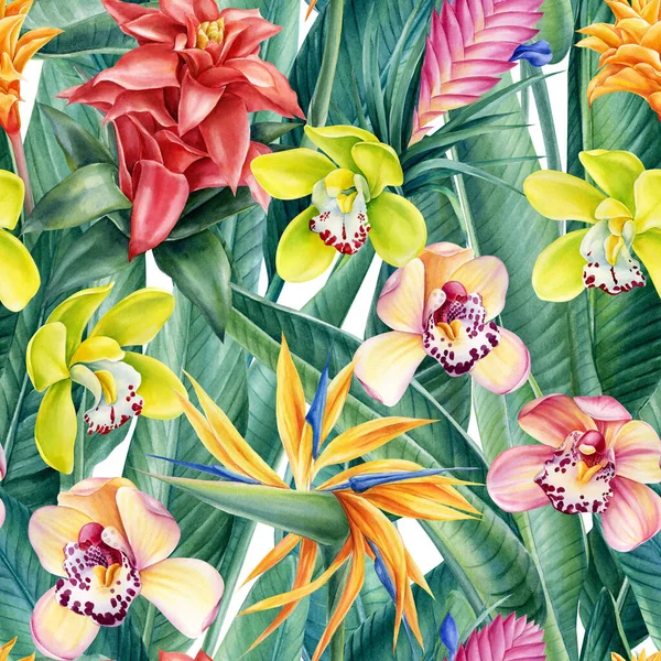 Tropikal çiçekleri ve yaprakları olan vahşi bir arka plan suluboya çizimi, pürüzsüz bir desen. Cennet dijital kağıdı, — Stok fotoğraf