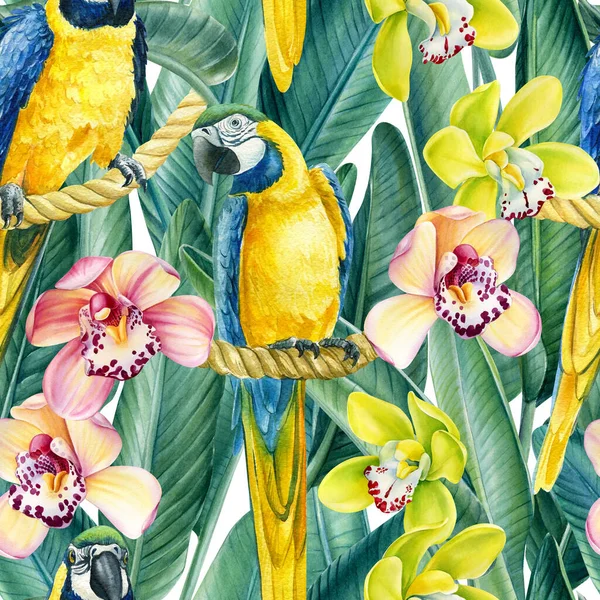 Ara, sfondo tropicale con uccelli e fiori di orchidea, acquerello illustrazione, modello senza soluzione di continuità. Carta digitale — Foto Stock