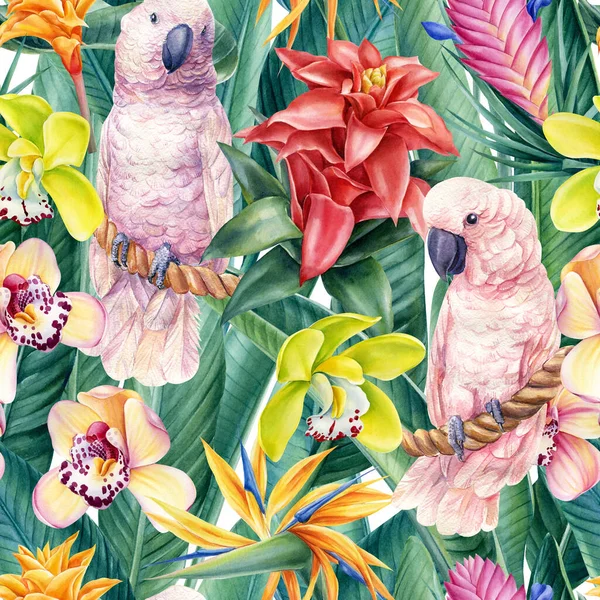 Kakadu, cennet arka planı, kuşlar ve tropikal çiçekler suluboya resimleme, kusursuz desen. Dijital kağıt — Stok fotoğraf