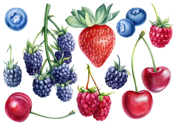 Bobule akvarel, izolované bílé pozadí. Přírodní organické maliny, jahody, ostružiny, borůvky a třešně — Stock fotografie