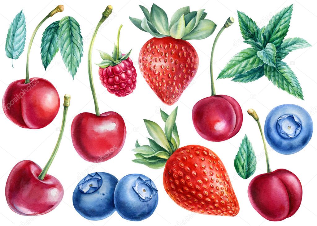 Berries blueberries, raspberries, sweet cherries, strawberries, mint leaves, watercolor illustration