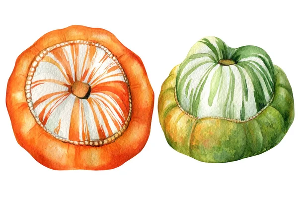 Establecer calabazas sobre un fondo blanco aislado, ilustración de acuarela. Cosecha otoñal de verduras — Foto de Stock