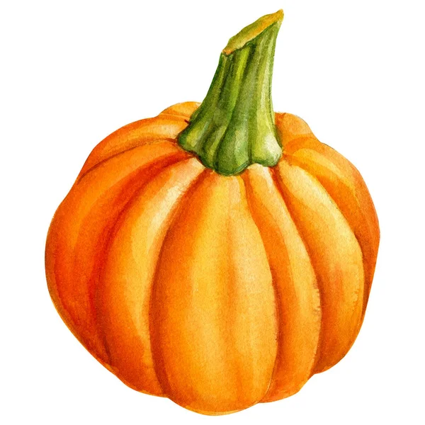 Pumpkin on isolated white background, watercolor illustration — Stock Photo, Image