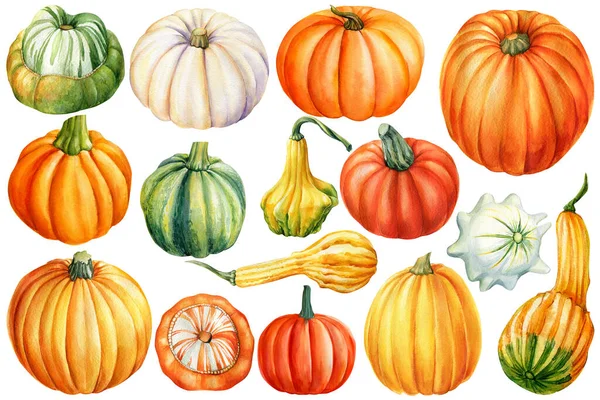 Set of pumpkins on isolated white background. Thanksgiving, Autumn harvest, watercolor illustration — Stock Photo, Image