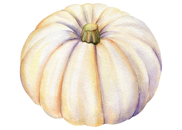 Set of pumpkins on isolated white background, Autumn harvest, watercolor illustration — Stock Photo, Image