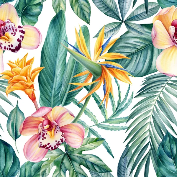 Kusursuz tropikal yapraklar, orkide çiçekleri ve strelitzia, orman arka planı, suluboya resim — Stok fotoğraf