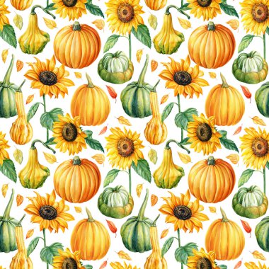 Kabakların ve ayçiçeklerinin kusursuz deseni, sonbahar arkaplanı, suluboya çizimler