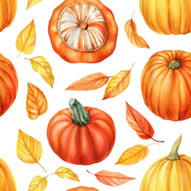 Kabak ve yaprakların kusursuz deseni, sonbahar arkaplanı, suluboya çizimler.