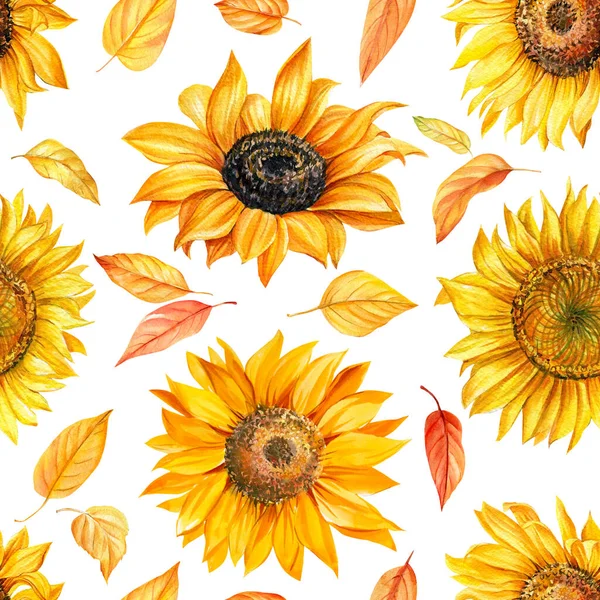 Pola tak berjahit bunga matahari, latar belakang musim gugur. Ilustrasi warna air — Stok Foto