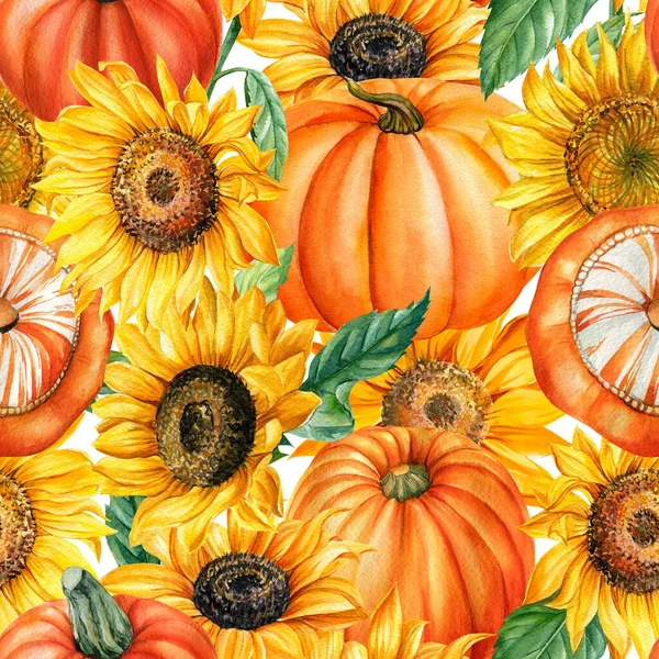 Kabakların ve ayçiçeklerinin kusursuz deseni, sonbahar arkaplanı, suluboya çizimler