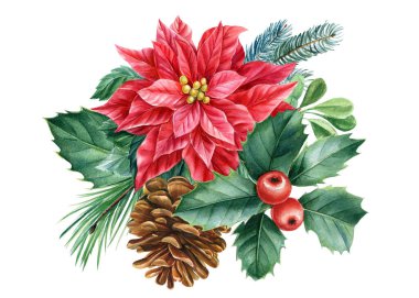 Koni, Poinsettia ve Holly. Beyaz arka planda Noel süsü, suluboya çizimler. Xams Clipart 