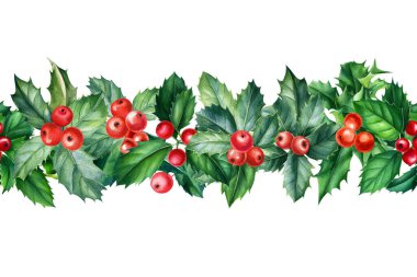 Noel sınırı. Beyaz arkaplanda Holly şubeleri, suluboya resimleme