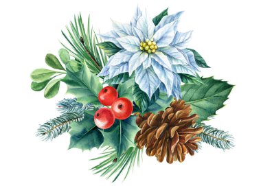 Koni, Poinsettia ve Holly. Beyaz arka planda Noel süsü, suluboya çizimler. Xams Clipart 