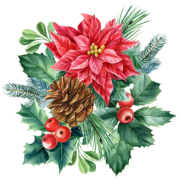 Koni, Poinsettia ve Holly. Beyaz arka planda Noel süsü, suluboya çizimler. Xams Clipart — Stok fotoğraf