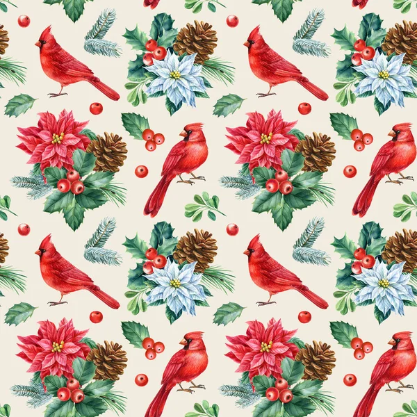 Uccelli cardinali rossi, motivo natalizio senza cuciture, illustrazione ad acquerello. rami di abete rosso, agrifoglio e poinsettia — Foto Stock