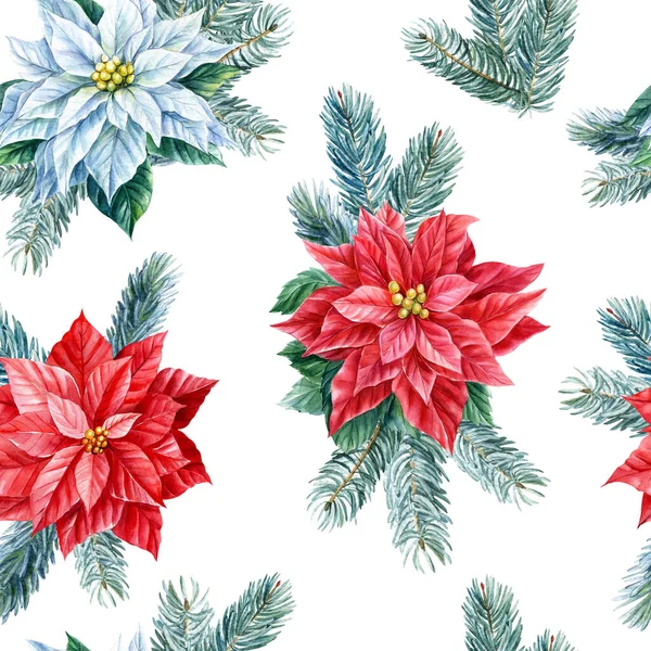 Flores de Poinsettia. padrão sem costura, ilustração aquarela. ramos de abeto. Árvore Natal — Fotografia de Stock
