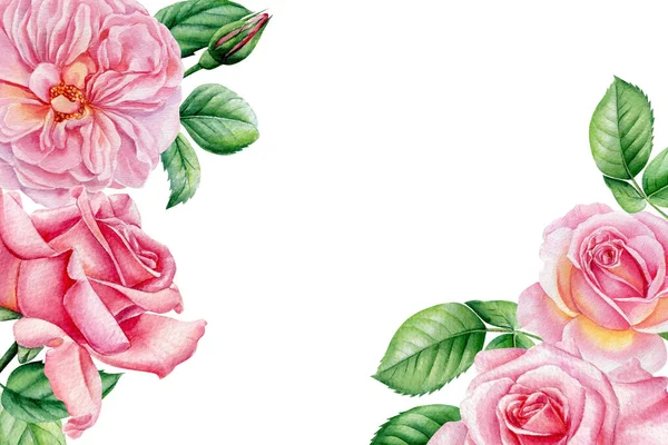 Rosas aquarela, pintura botânica. Flores cor de rosa. Cartão de saudação com lugar para texto — Fotografia de Stock