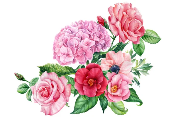 Aquarellblumen. Hortensie, Rose, Magnolie, Kamelie und rosa Anemone, botanische Illustration. Florales Design — Stockfoto