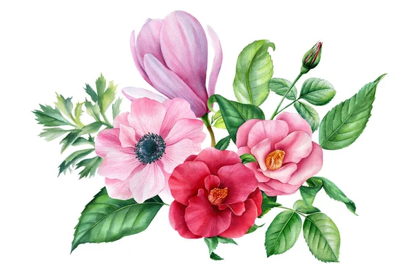 수채화 꽃. Hydrangea, rose, magnolia, camellia and pink anemone, botanical illustration. 식물상 의설 계 — 스톡 사진