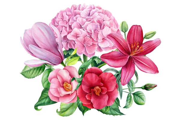 Flores de acuarela. Hydrangea, rose, magnolia, camellia y anémona rosa, ilustración botánica. Diseño floral — Foto de Stock