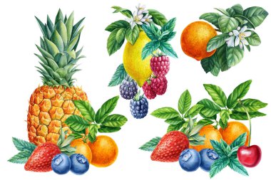Suluboya limon, mandalina, ananas, ahududu, kiraz, böğürtlen ve çilek, tatlı meyve ve çilek