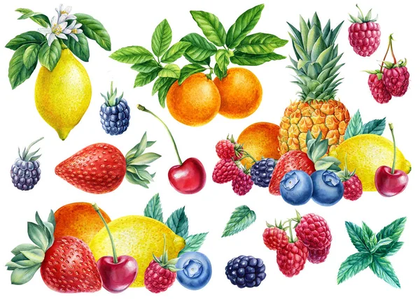 Fruits doux et baies. Aquarelle citron, mandarine, ananas, framboise, cerise, mûre et fraise et menthe — Photo