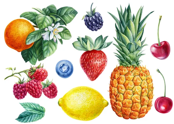 Set orange, citrons, ananas, framboises, cerises et fraises, fond blanc isolé, illustration aquarelle — Photo