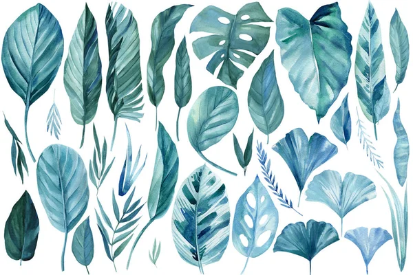 Foglie di acquerello. Piante tropicali dipinte a mano. Illustrazione floreale per il design — Foto Stock