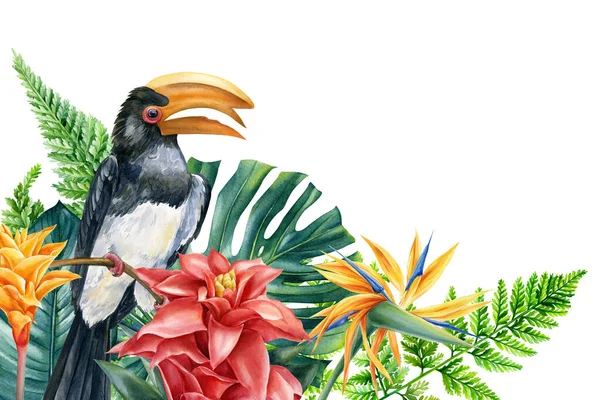 Тукан птах, Вітальна листівка, тропічні рослини, пальмове листя і квіти, намальовані в акварелі, ботанічний живопис — стокове фото