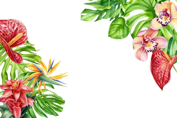 Tasarımınız, kartınız ya da düğün davetiyeniz için arkaplanda tropik yapraklar ve çiçekler suluboya, botanik resim — Stok fotoğraf