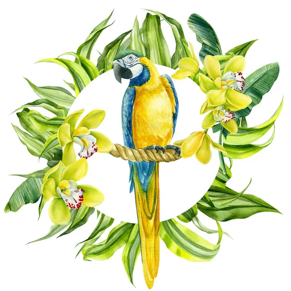 Papagáj, trópusi növények, pálmalevél és orchideavirág kézzel rajzolt akvarell, botanikus festészet — Stock Fotó